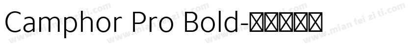 Camphor Pro Bold字体转换